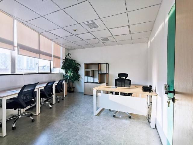 余杭区耐寒植物出租多少钱